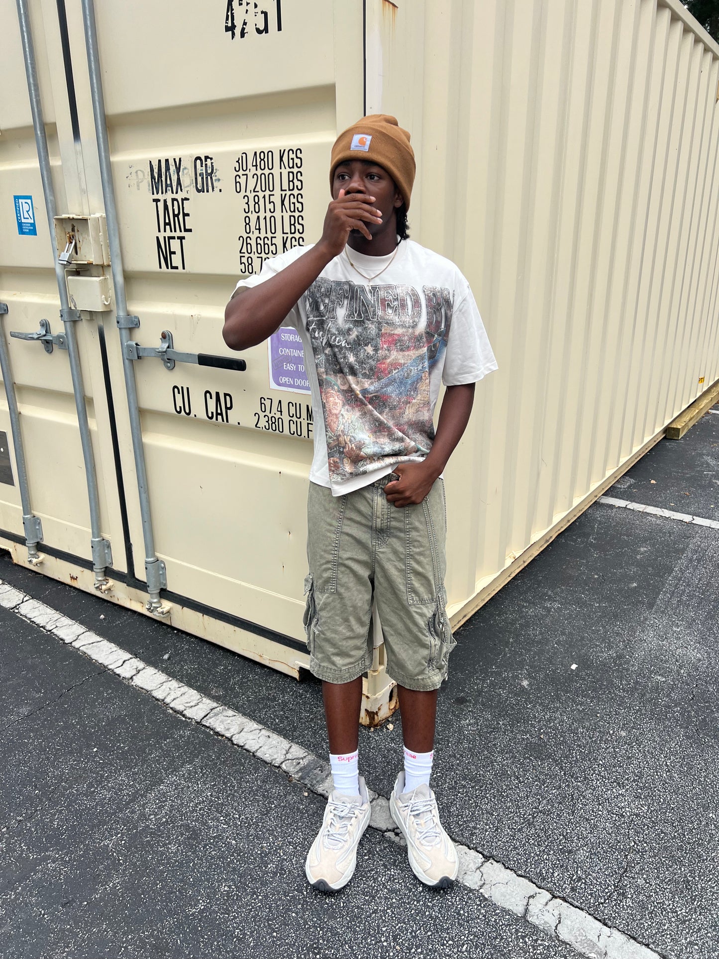 Savannah soldier